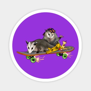 Rebellious Opossums On A Skateboard With Trash Magnet